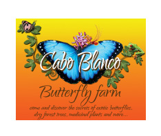 Cabo Blanco Butterfly Farm | Hire a Web Developer in Costa Rica